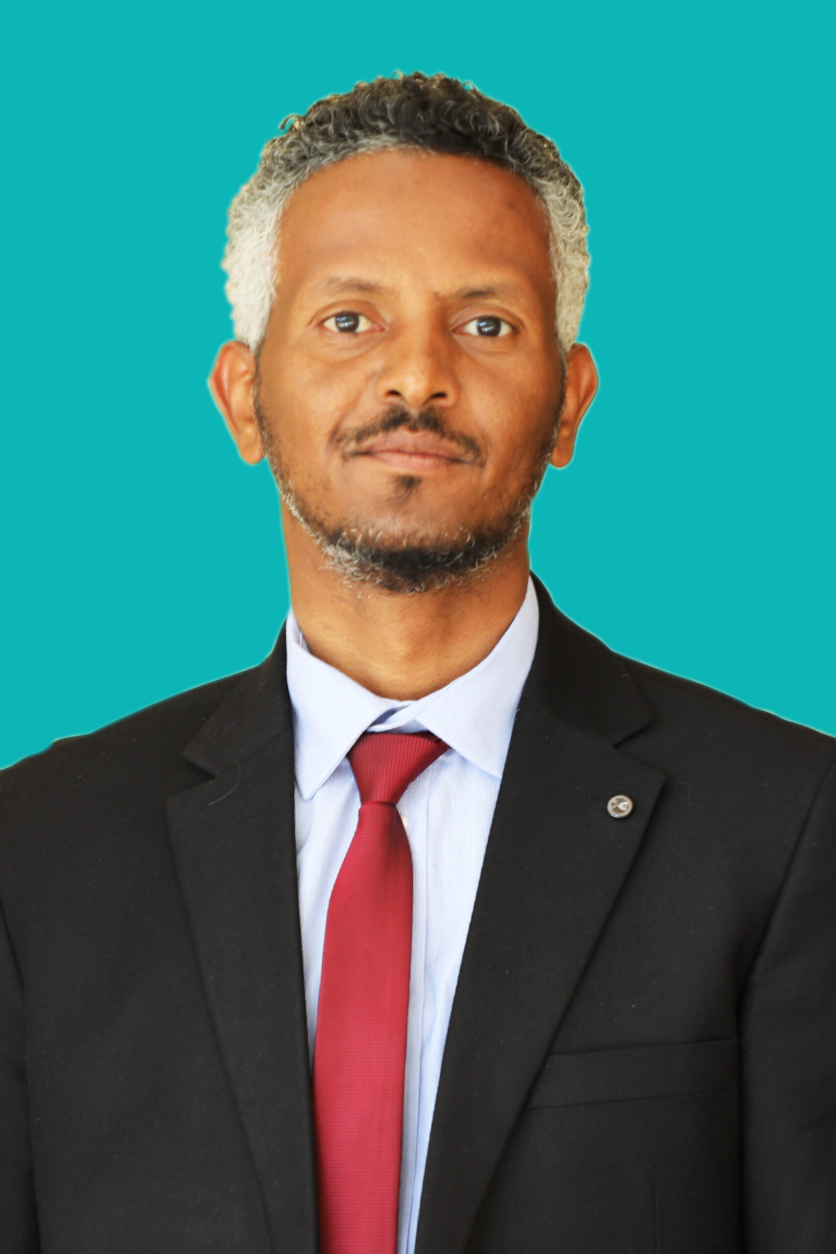 Ato Tsegaye Tesfaye