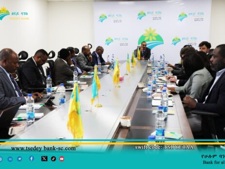 Tsedey Bank discusses with African Resilience Investment Accelerator.