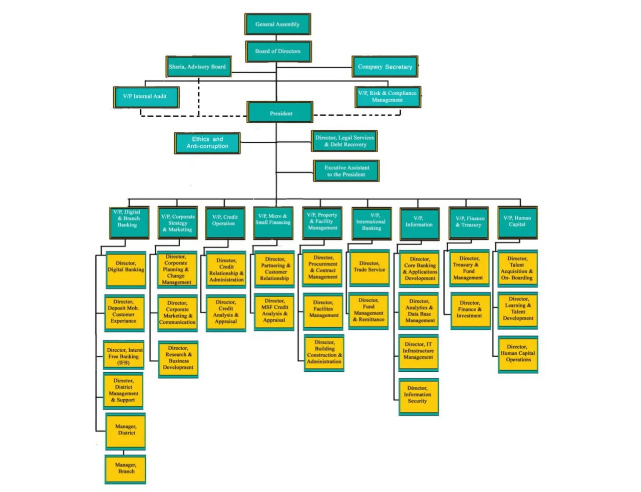 Tsedey Bank S.C Organization Structure