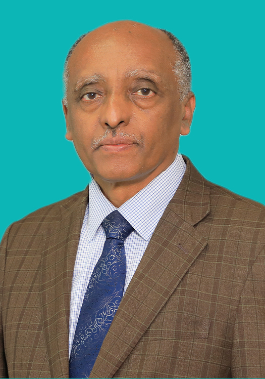 Yohannes Ayalew (PhD)